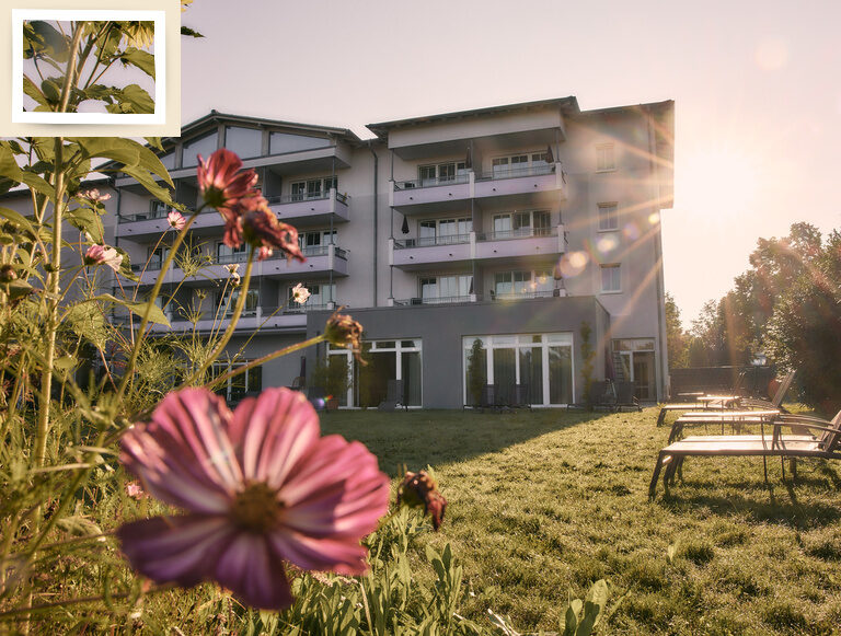Das charmante Sporthotel Holzapfel in der Abendsonne mit einer blühenden lilafarbenen Blume im Vordergrund.